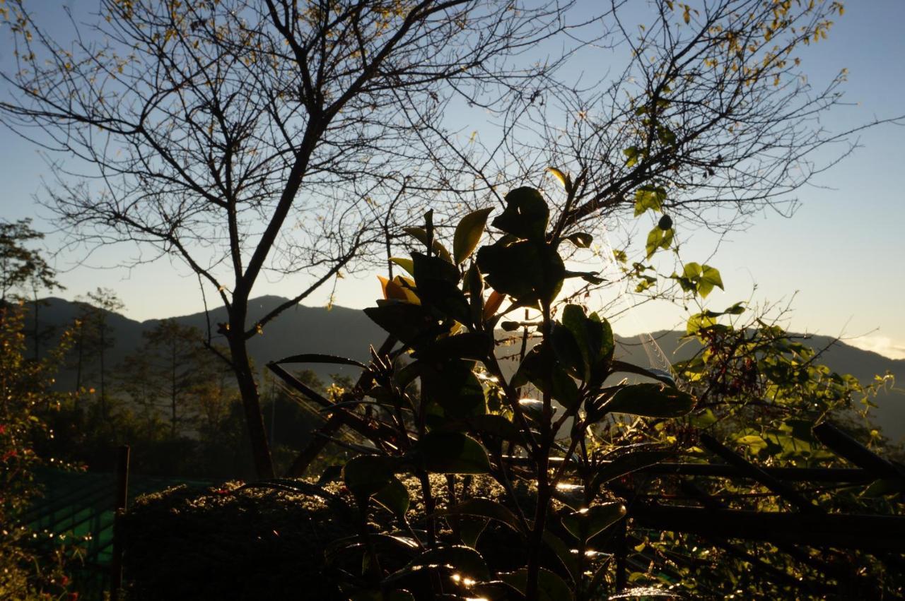 Chintapu Homestay In Ilam, Eastern Nepal Exterior foto