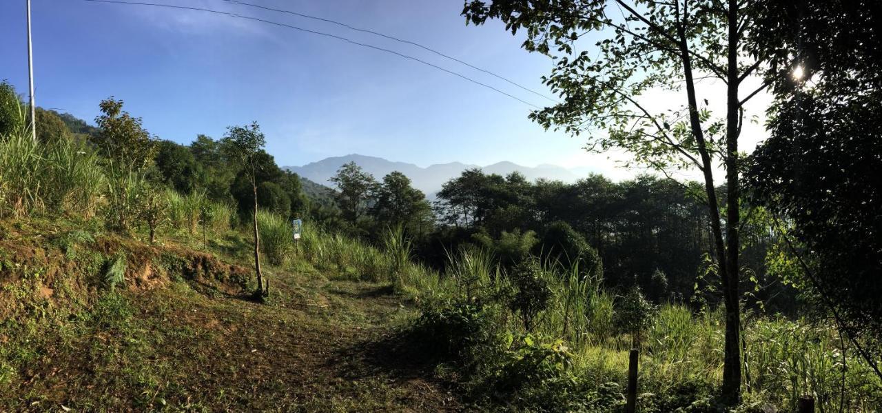 Chintapu Homestay In Ilam, Eastern Nepal Exterior foto