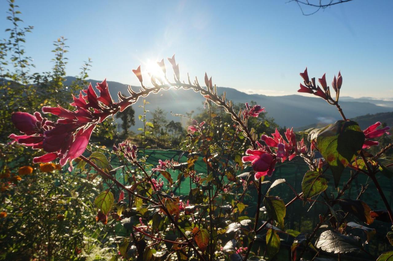 Chintapu Homestay In Ilam, Eastern Nepal Exterior foto